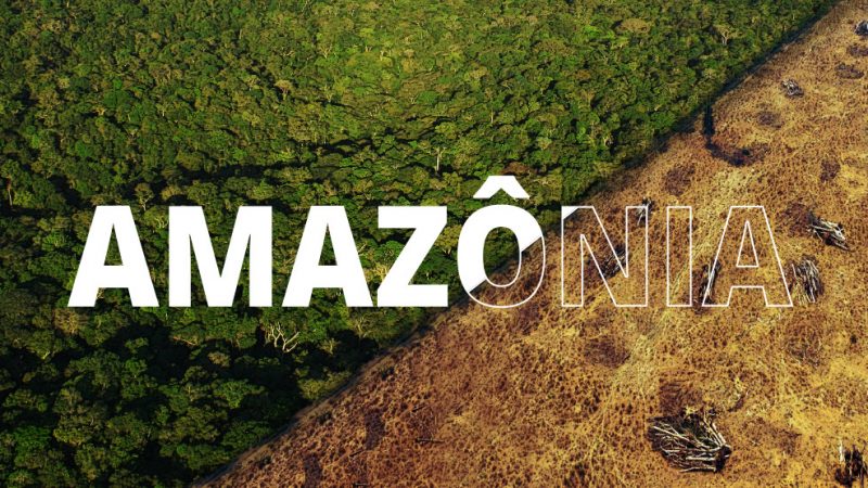 Desmatamento na Amazônia atinge 3 mil km2 no primeiro semestre